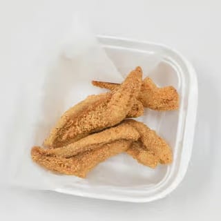 Ocean Perch