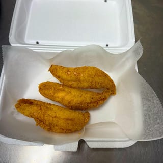 Ocean Perch